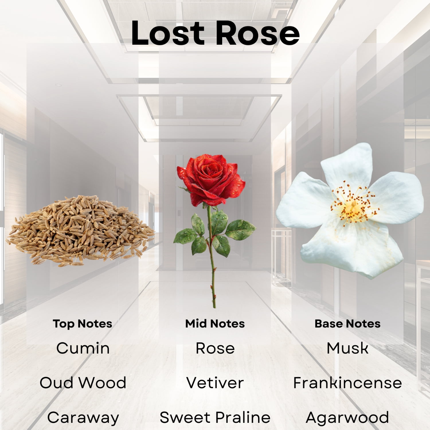 Hotel Diffuser Oil Inspired by Fairmont Hotel Scent - 20 mL 0.67 fl oz - Fragrance Oil Blend Rose, Oud Wood & Clove Notes for Aromatherapy Diffusers and Humidifiers - Lost Rose
