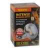 Exo-Terra Sun Glo Tight Beam Basking Spot Lamps 100 Watts