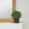 thumbnail image 5 of Northlight 9.5" Artificial Boxwood Ball Topiary in Round Pot, Unlit, 5 of 5