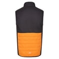 thumbnail image 2 of Regatta Mens Halton VII Padded Gilet, 2 of 6