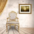 thumbnail image 3 of Maier, Norbert 18x13 Gold Ornate Wood Framed with Double Matting Museum Art Print Titled - Charm Of The Ephemeral, 3 of 4