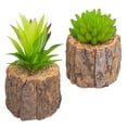 thumbnail image 4 of 2Pcs Lovely Simulation Succulents Mini Potted Bonsai Artificial Plant Decor, 4 of 9