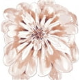 thumbnail image 2 of Dyer, Beverly 20x20 White Modern Wood Framed Museum Art Print Titled - Blush Peony, 2 of 4