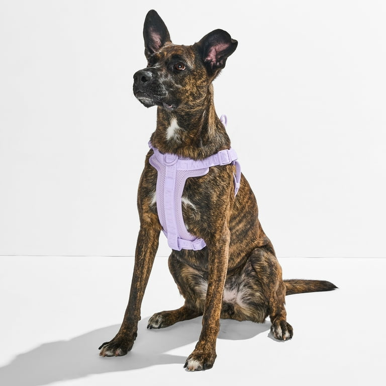 Wild One Adjustable Cushioned Step-In Dog Harness, Lilac, Large