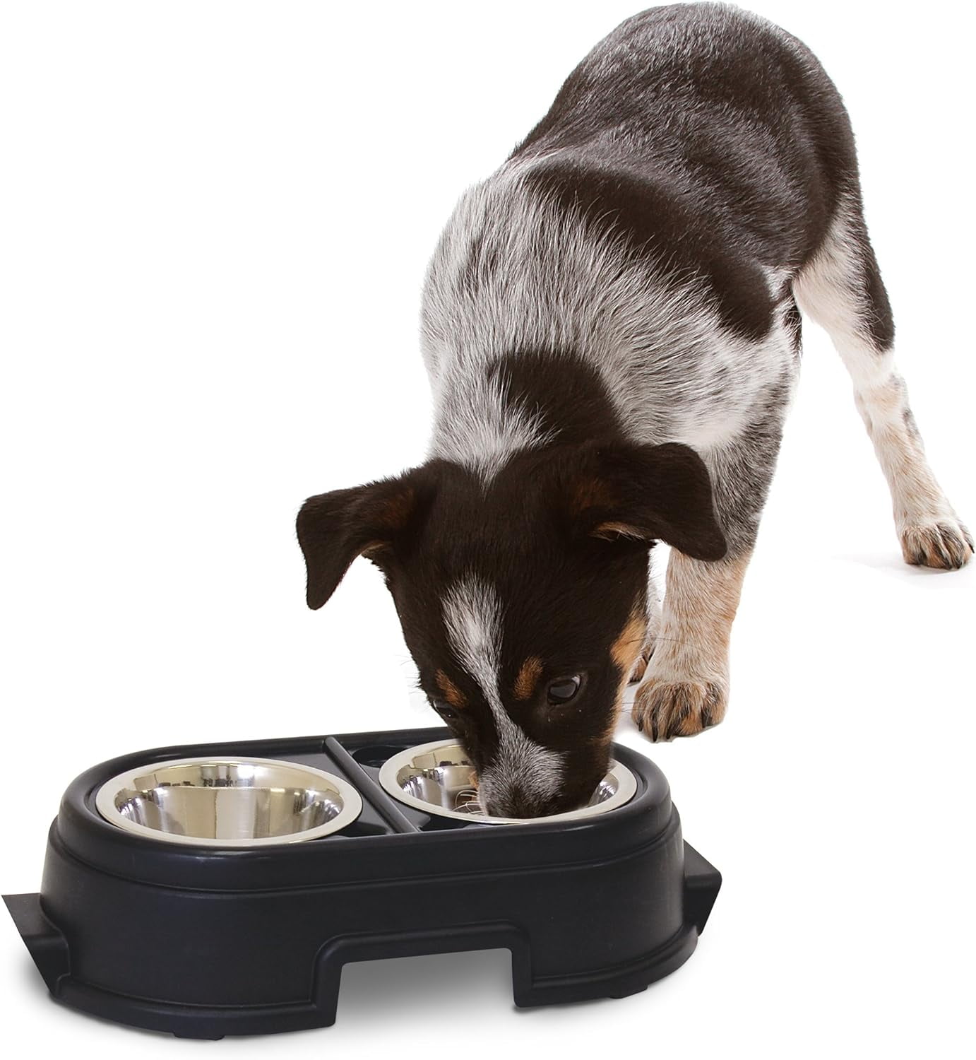 FOYO Elevated Dog Bowls, Raised Dog Food and Water Bowls,Wall Mounted Pet  Comfort Feeding Bowls for Medium Dogs