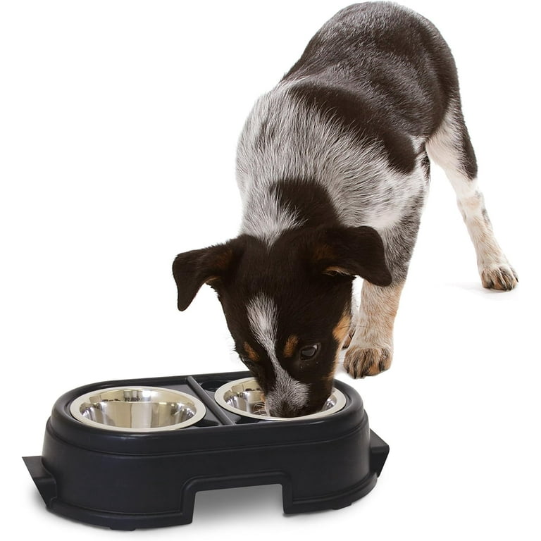 OurPets Comfort Diner Elevated Dog Food Dish (Raised Dog Bowls Available in  4 inches, 8 inches and 12 inches for Large Dogs, Medium Dogs and Small Dogs),  4-inch 