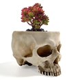 thumbnail image 3 of Decoración de Halloween de RMM: Maceta floral con cabeza de cráneo humano retro, 3 of 3