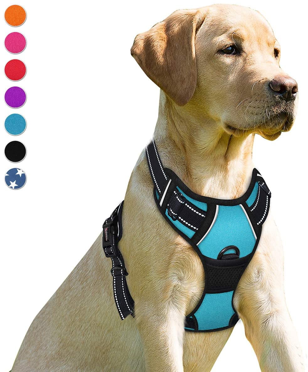 BARKBAY Reflective Breathable Soft Air Mesh No Pull Puppy Dog Vest Harness 