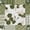 Patchwork - Olive / Brown, variant on Reversible Patchwork Furniture Protector, Machine Washable Slipcover, Loveseat, Taupe