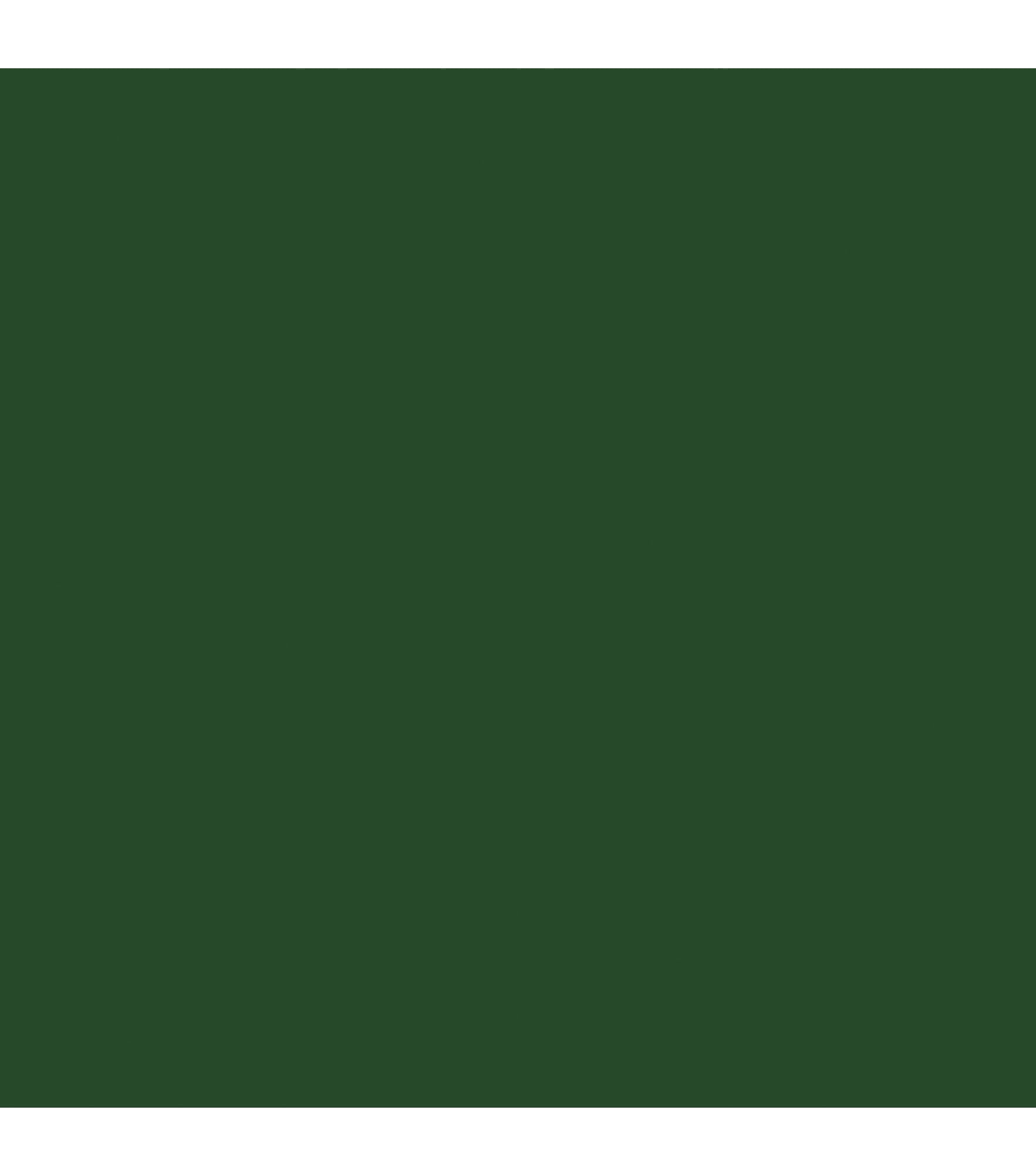 Cricut® Premium Vinyl™ – Removable, Forest Green, 12" x 48"