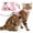 Pink, variant on Cat Towing Rope,Anti Escape Cat Vest With Reflective Strip,Soft Adjustable Cat Vest Strap,Easy To Control,Breathable.