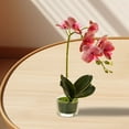 thumbnail image 4 of Glass Vase Artificial Orchid Bonsai - Phalaenopsis Flower Pot Arrangement For Home Table Centerpieces And Room Decor, 4 of 4