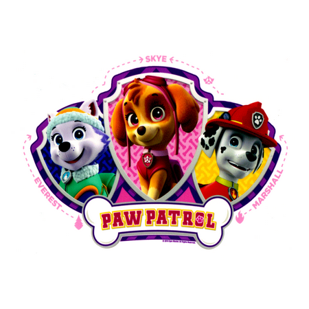 Paw Patrol Skye, Everest & Mars ~ Edible Icing Image for 8 inch Round