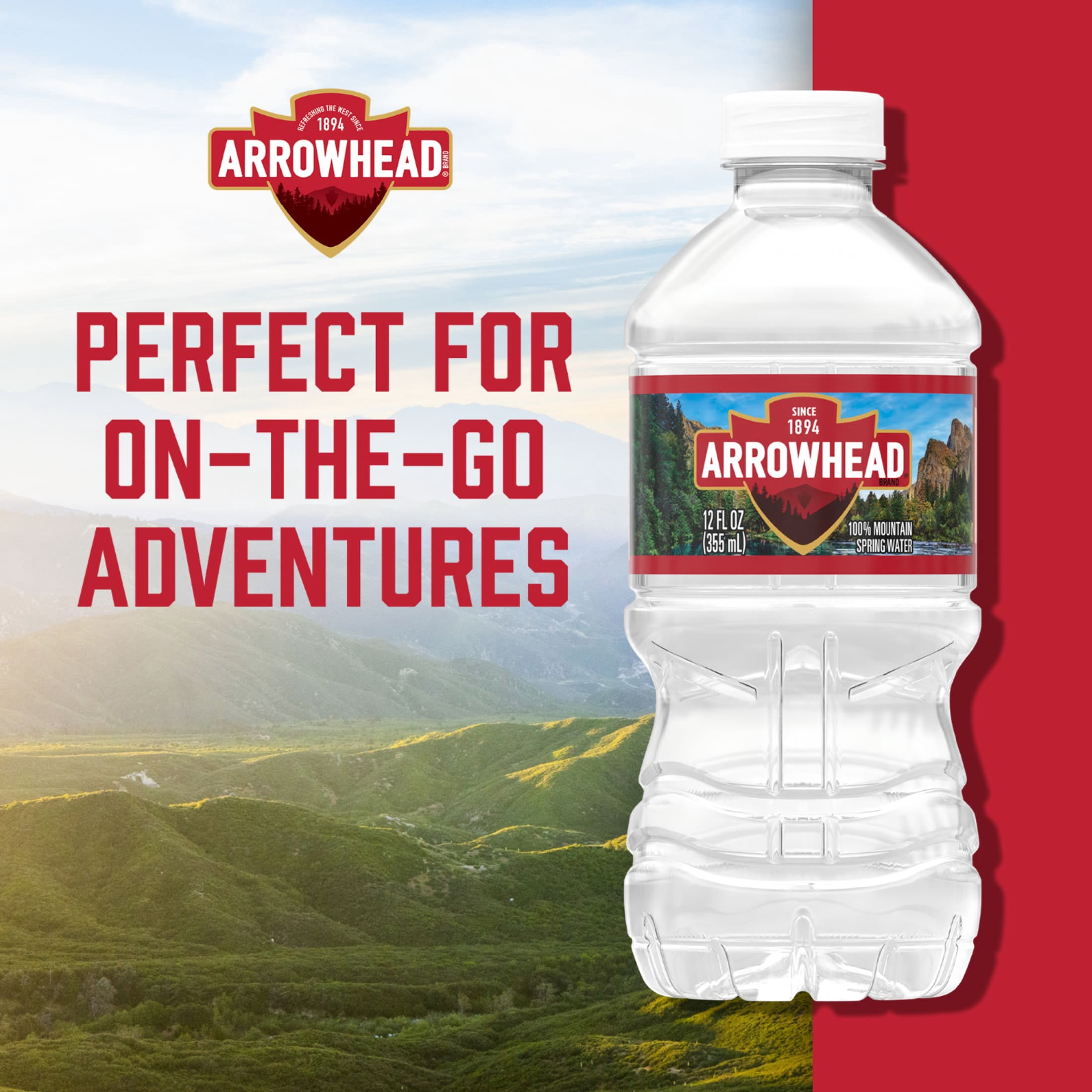(2 pack) Arrowhead Mountain Spring Water, 12 fl oz, 12-pack Plastic Bottles