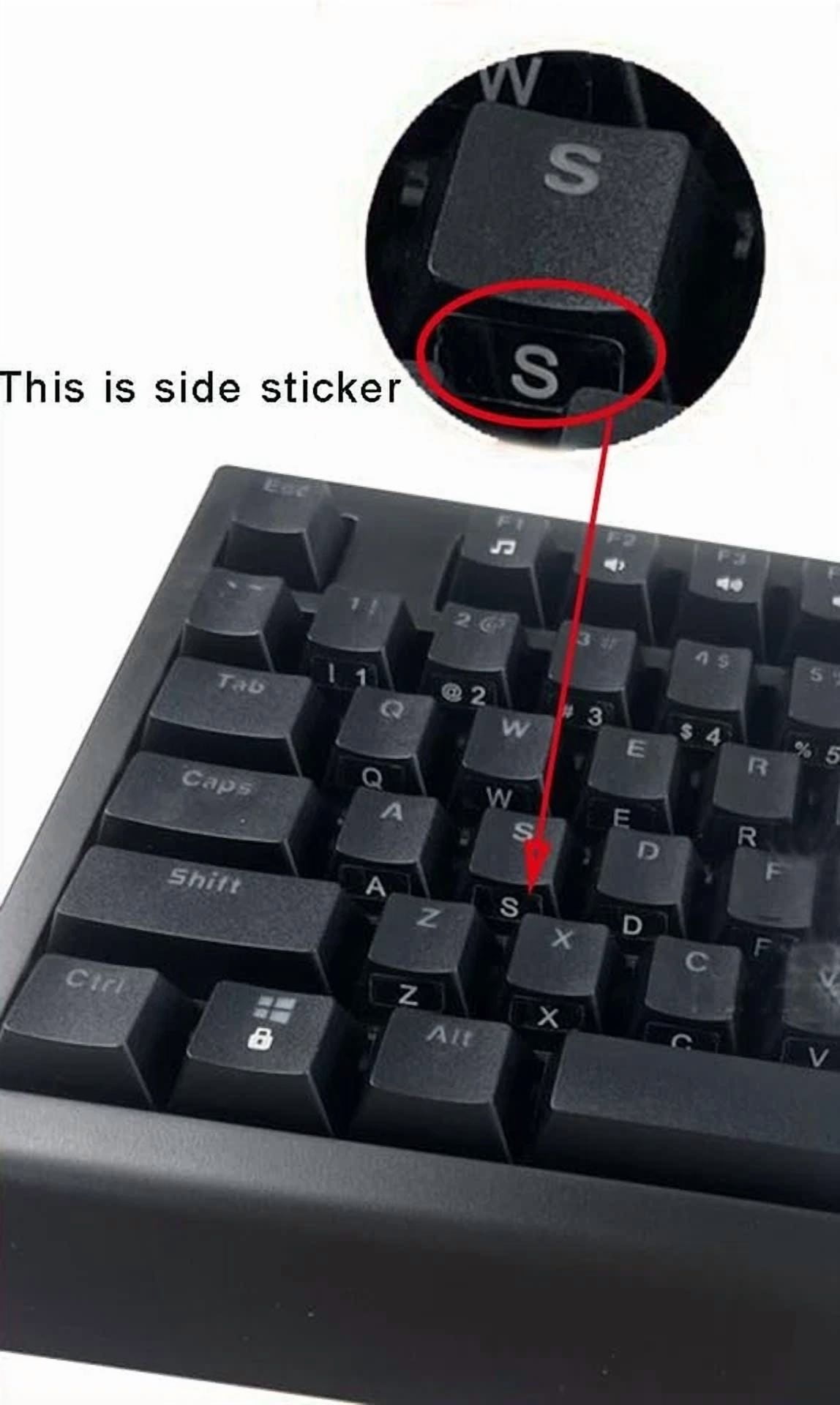 CRESTIN- Transparent Background - Side Sticker, White Lettering - English Full Keyboard