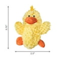 thumbnail image 3 of KONG® Dr.Noyz Dog Toy with Squeaker, Duck, Small for Dogs Up to 20 lbs, 3 of 5