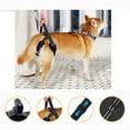 thumbnail image 6 of Recovery Harnesses Pet Lift Harnesses Large Dog Leg Support Rehabilitation for Secure and Comfortable Pet Mobility, 6 of 6