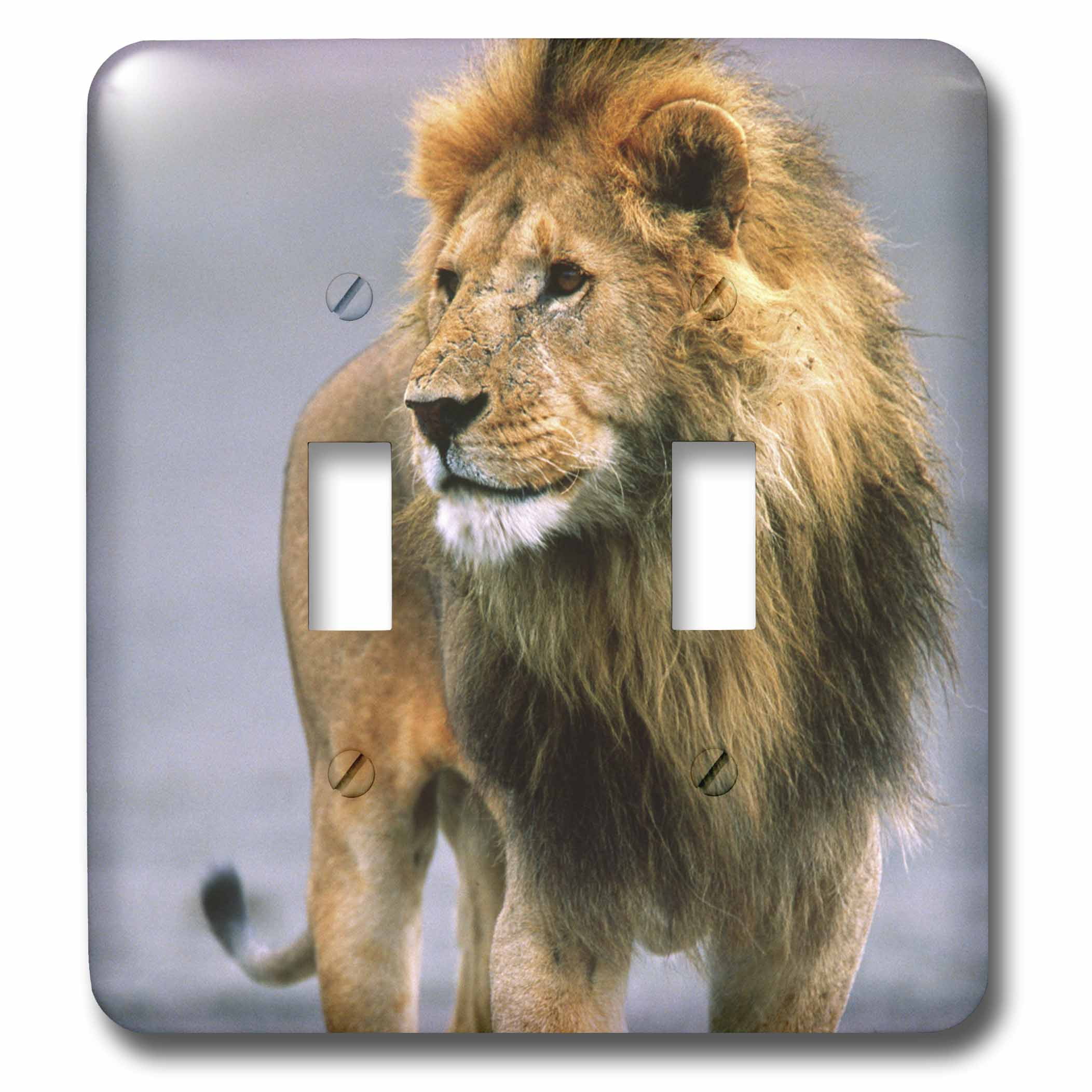3dRose lsp/_83908/_2 Male Lion On Dry Lake Bed Tanzania Africa Na02 Dno0333 David Northcott Double Toggle Switch