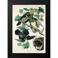 thumbnail image 2 of Audubon, John James 11x14 Black Modern Framed Museum Art Print Titled - Summer, or Wood Duck, 2 of 5