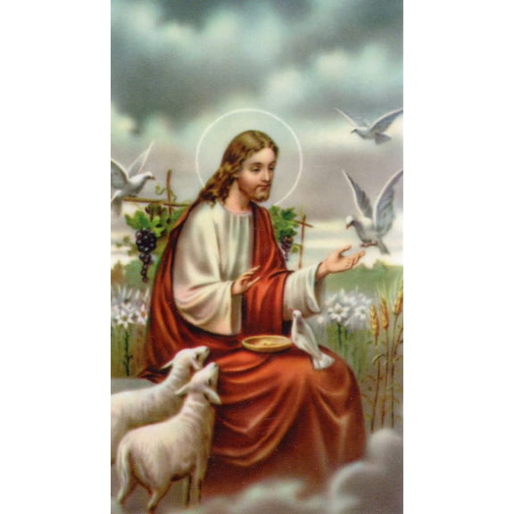 Acto de Contricion N holy card - laminated - Pack of 25