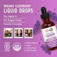 thumbnail image 6 of MaryRuth's Elderberry Tincture, Elderberry + Raspberry Flavor, Liquid Drops, 1 Fl Oz, Unisex, 6 of 12
