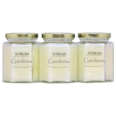 Gardenia 3-Pack Soy Candles -Just Makes Scents Candles & Gifts