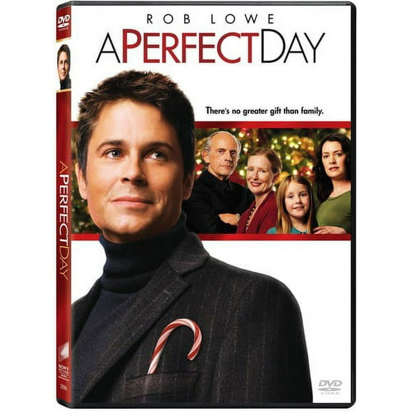 A Perfect Day (DVD), Sony Pictures, Drama