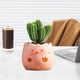 thumbnail image 1 of Succulent Flowerpot Personalized Desktop Breathable Animals Shaped Coarse Ceramic Flowerpot, 1 of 6