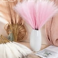 thumbnail image 3 of Becaristey 3pcs Exquisite Pampas Reed Decor For Sophisticated Look Boho Decor Dark Pink 1Set, 3 of 6