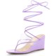 thumbnail image 1 of Sandalias de cuña con tiras transparentes y cordones para mujer Púrpura, EE. UU. 8, 1 of 5