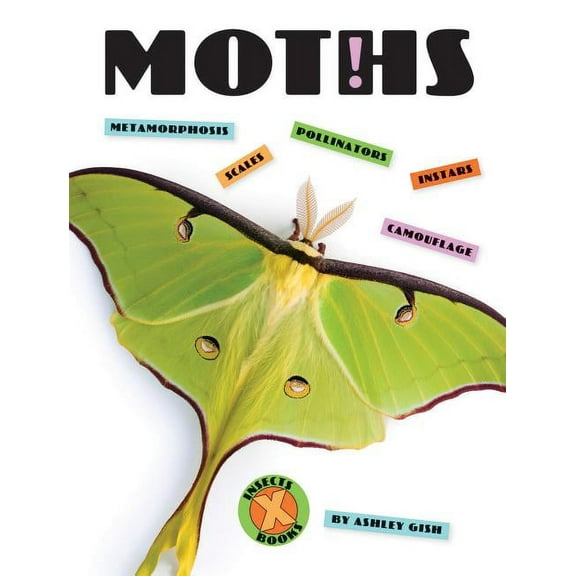 X-Books: Insects: Moths (Paperback)