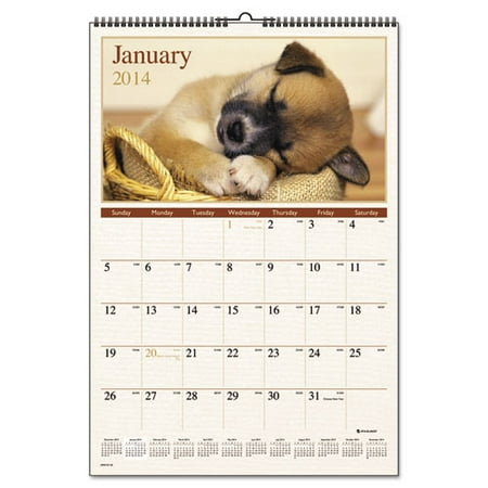 Recycled Puppies Wall Calendar, 15-1/2 X 22-3/4,