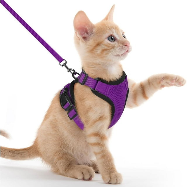 Yazoeia Harnais et Laisse pour Chat, Harnais Ajustable Doux et Résistant, Veste Réfléchissante à Rayures pour Promenades (Violet, Moyen) CJC912-122097