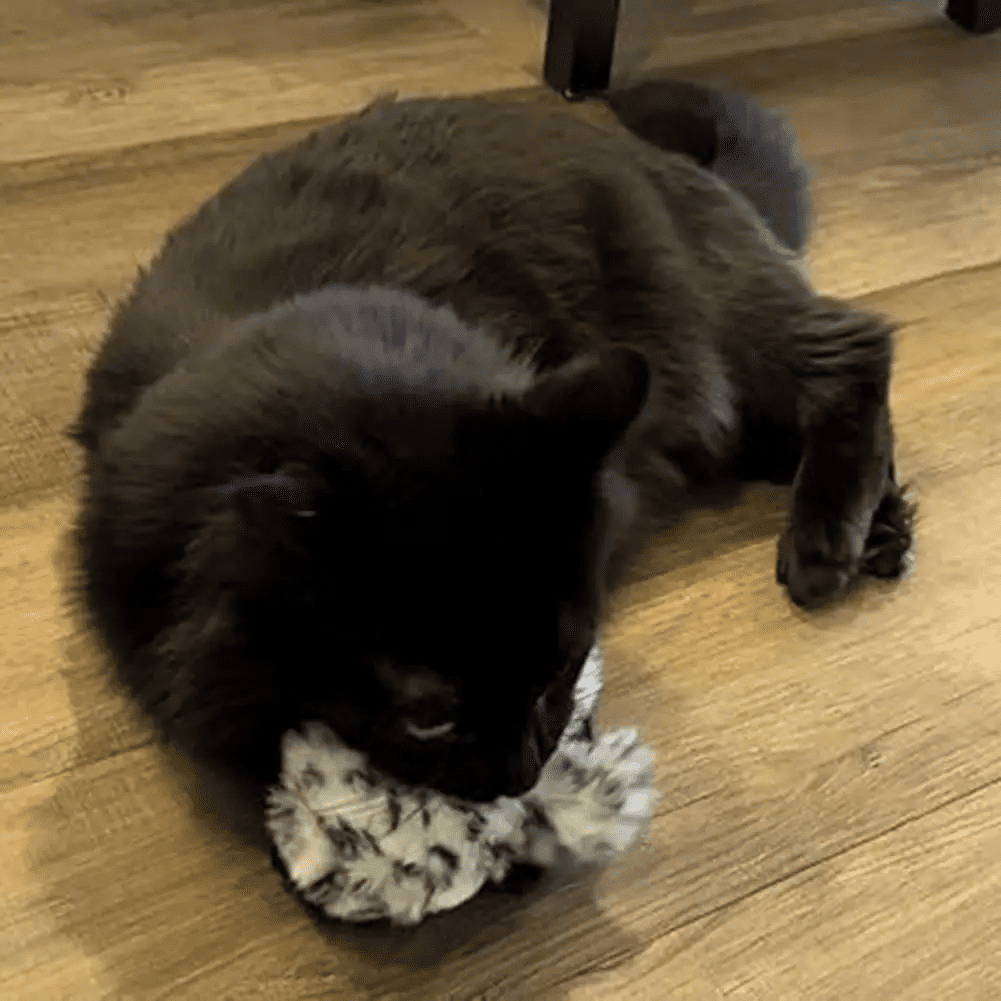 Cute and popular cat toys, simulated birds, touch sensitive cat toys, electric cat teasing, intelligent pet toys