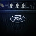 thumbnail image 2 of Peavey Max 126 6.5 Inch Compact Vented 10W Heavy Duty Bass Guitar Combo Amp, 2 of 5