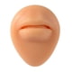thumbnail image 5 of 2x Modelo de parte del cuerpo Suave Sentimientos Modelado de silicona frágil para shamjiam Modelado de partes del cuerpo humano, 5 of 9