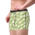 thumbnail image 3 of Bingfone Daisies Flowers Men's Underwear - Casual Stretch Boxer Briefs-Small, 3 of 7