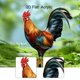 thumbnail image 1 of Estaca decorativa de para jardín, decoración exterior, decorativa, plana, 2D, creativa, estaca de animal, letrero de para patio, granja, 1 of 8