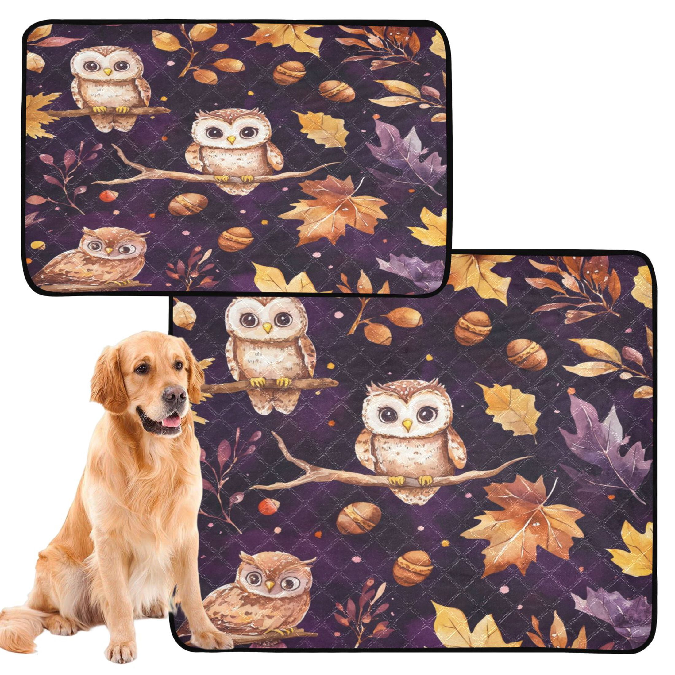 Qxltty Adorable Baby Owls and Acorns Pattern Cat litter Pads Pet Set of 3 Diaper Mats Center Anti-leakage Layer Absorbent Soft and Comfortable