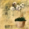 thumbnail image 2 of Bagnato, Judi 12x12 Black Ornate Wood Framed with Double Matting Museum Art Print Titled - Orchid 4, 2 of 4