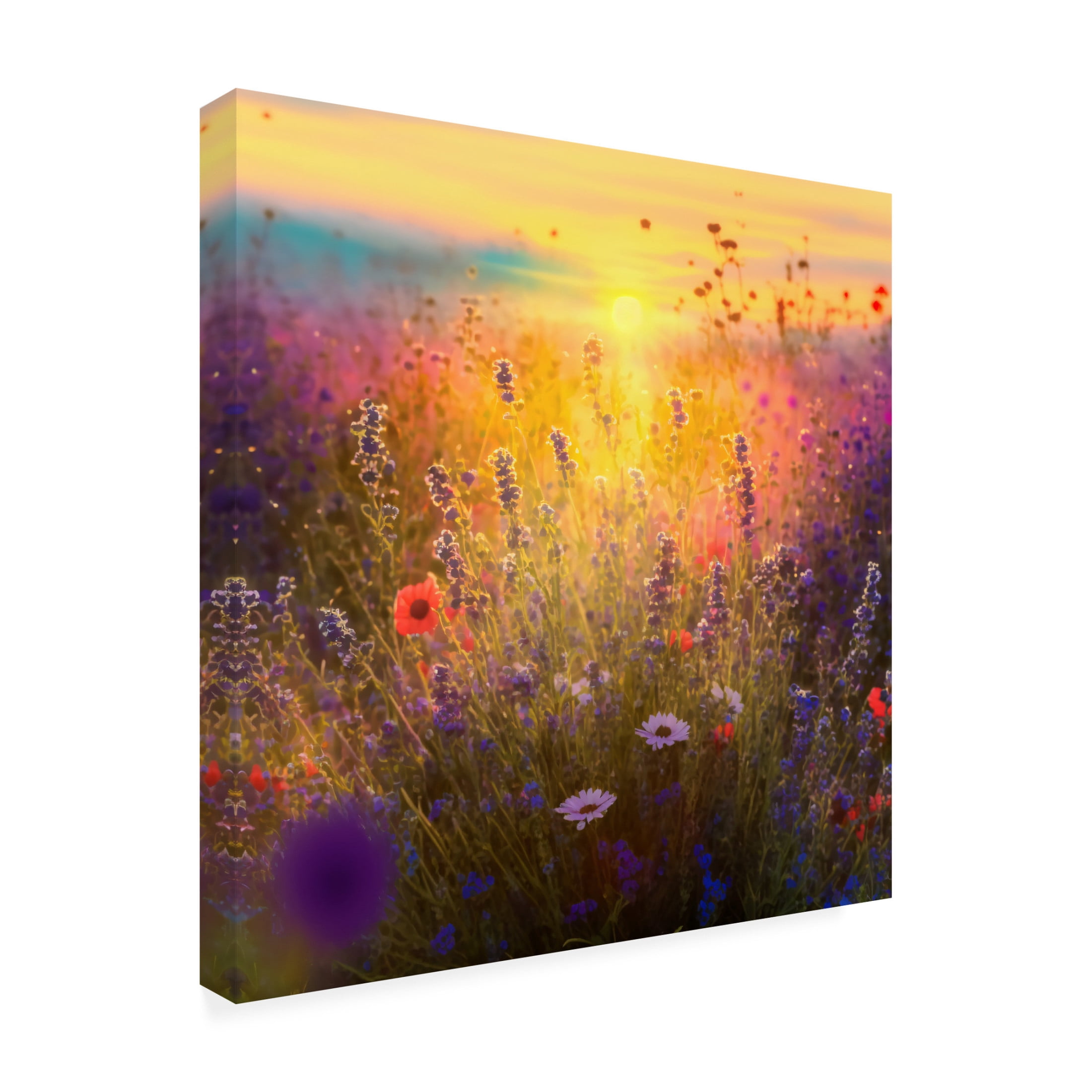 Canvas Wall Art - Ray Heere 'Flowering Fields 1' Wall Art for Living Room, Bedroom, or Office Décor by Trademark Fine Art - 24 x 24 Inches