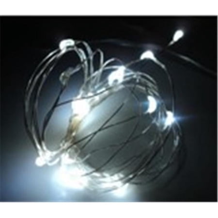 40 LED Timer Copper String Light - White