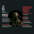 thumbnail image 4 of Pure Balance Pro+ Sensitive Skin & Stomach Dog Food, Salmon & Rice Recipe, 8 lb Bag, 4 of 10