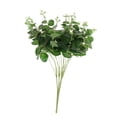 thumbnail image 1 of Hojas de eucalitto de Simución Artificial Fnts de Plástico para Decoración Del Jardín Doméstico Gloria Hojas de eucalipto artificial, 1 of 8