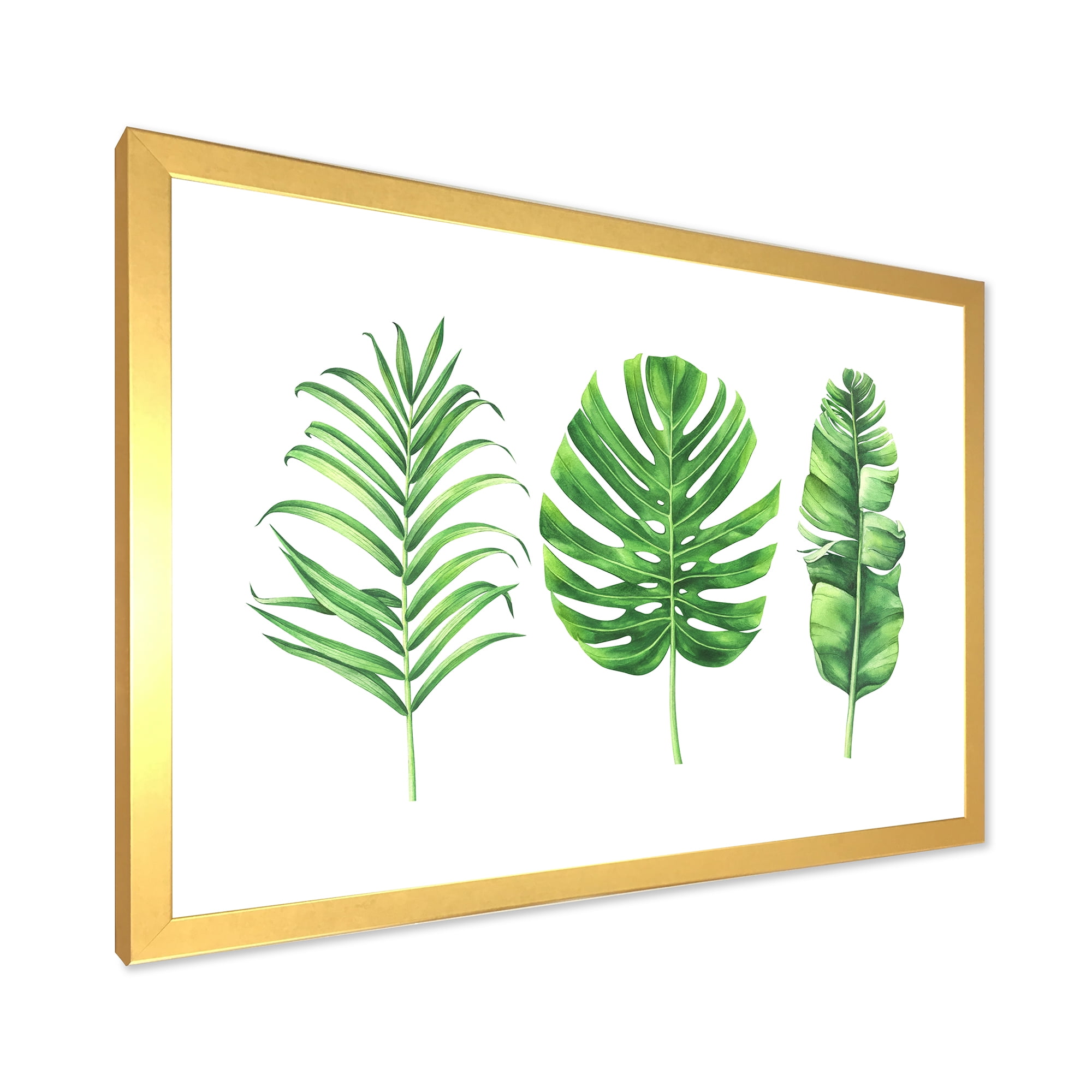 Designart 'Close Up Of Tropical Leaf Of Monstera IV' Farmhouse Framed Art Print