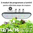 thumbnail image 4 of Sistema de cultivo hidropónico para jardín de hierbas: sistema de jardinería interior de 12 cápsulas con luz LED de cultivo, kit de germinación de plantas (sin semillas) con sistema de, 4 of 7