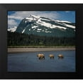 thumbnail image 2 of PHBurchett 13x12 Black Modern Framed Museum Art Print Titled - Bear Life V, 2 of 5