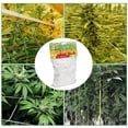 thumbnail image 6 of Walbest Flexible Lattice Netting for Garden Plants, Vine, Crops, Morning Glory, Cucumber, All Weather (5/10m), 6 of 7