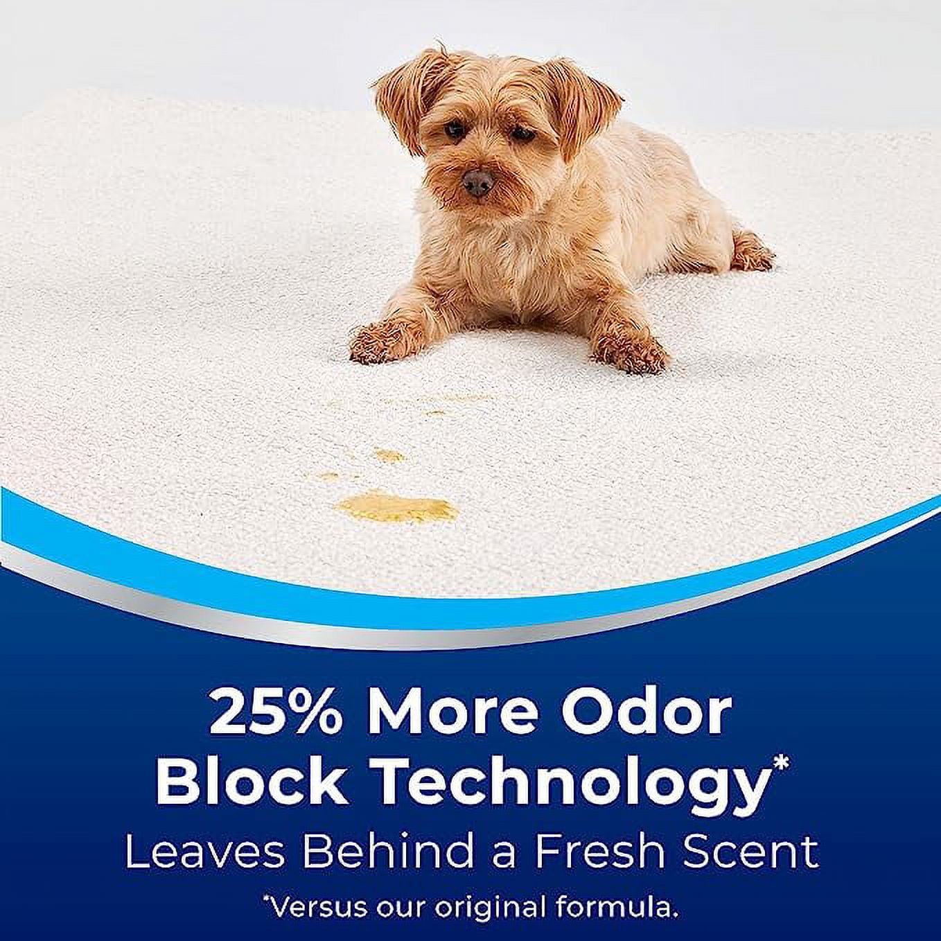 Woolite 1321 Pet Carpet & Upholstery Foam Cleaner, 12 Oz – Toolbox Supply