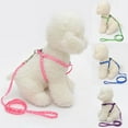 thumbnail image 1 of Flmtop 120cm Adjustable Cloth Colorful Printed Chest Strap Small Pet Dog Traction Rope Pink, 1 of 9